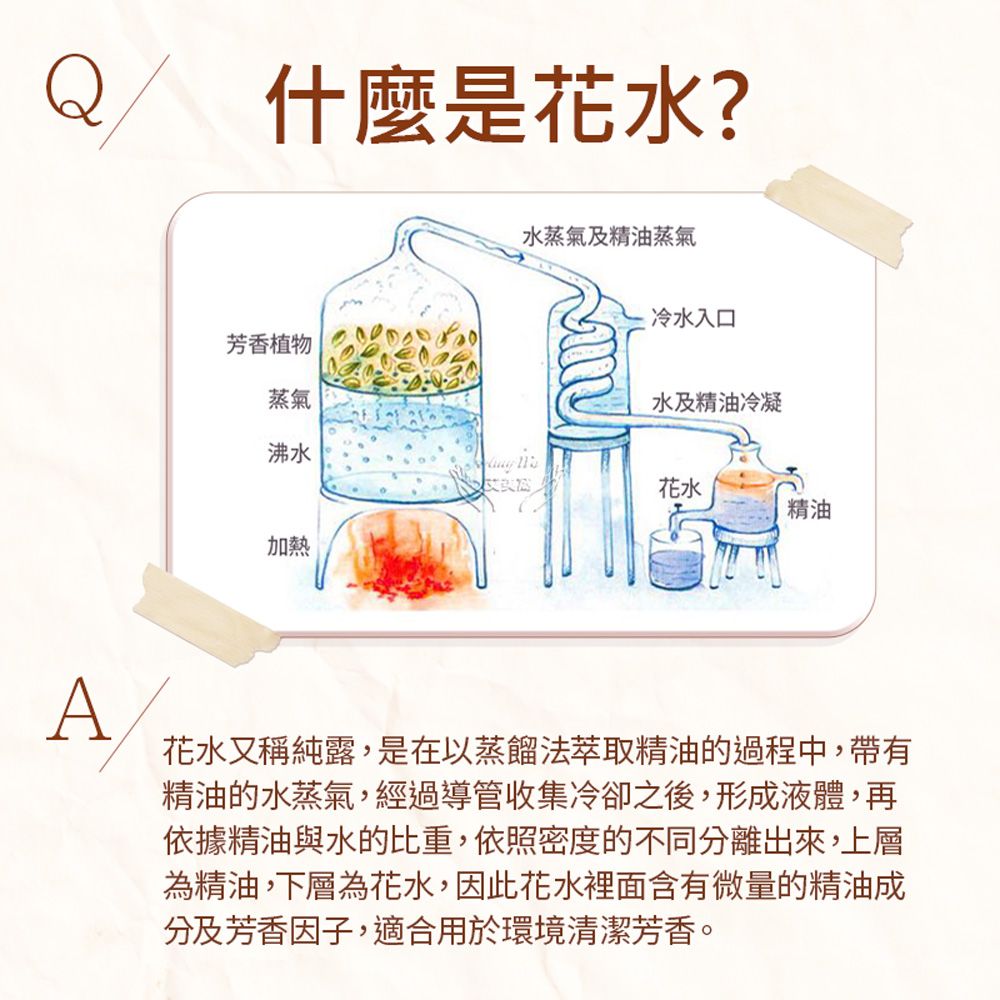 Amywo 艾美窩 天竺葵 純露 花水 50ml 噴霧攜帶瓶