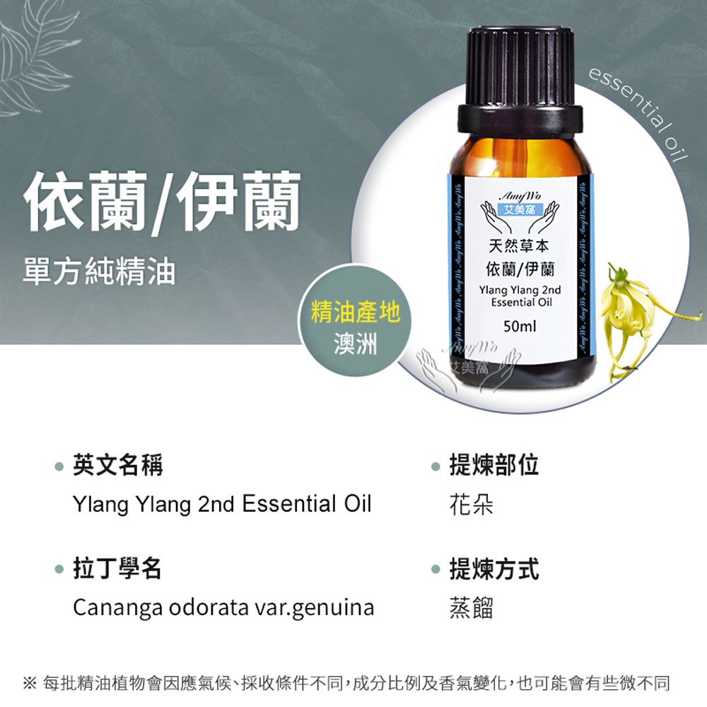 Amywo 艾美窩 純依蘭/伊蘭精油 50ml