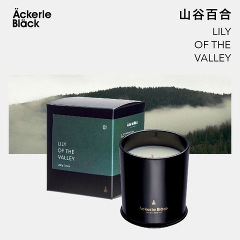 Ackerle Black 阿克黑 香氛蠟燭200g-01山谷百合  室內香氛 手工製作 美式簡約香氛 台灣生產