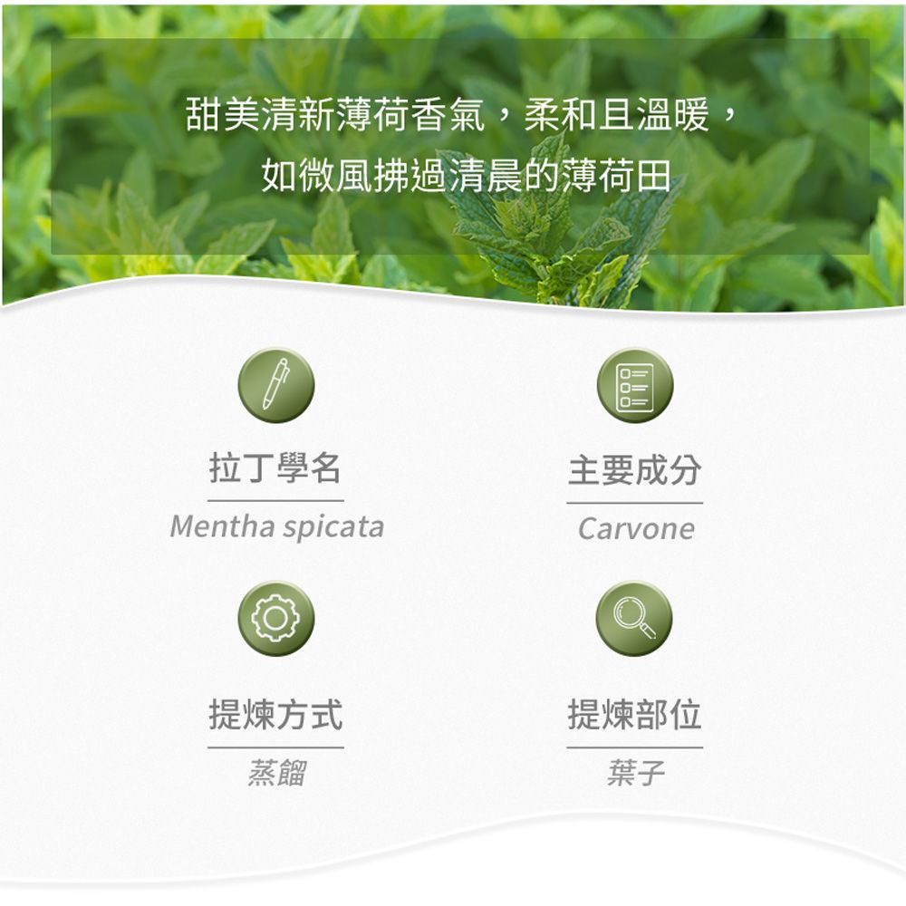 AROMA australia 綠薄荷純精油30ml(澳洲原裝進口)