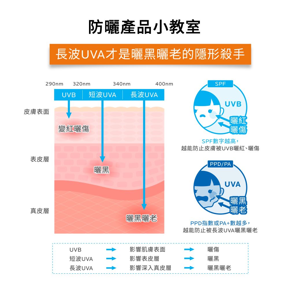 防曬產品小教室長波UVA才是曬黑曬老的隱形殺手290nm 320nm340nm400nmSPFUVB短波UVA 長波UVA皮膚表面變紅曬傷UVB曬紅曬傷SPF數字越高,表皮層曬黑真皮層越能防止皮膚被UVB曬紅、曬傷PPD/PAUVA曬黑曬老曬黑曬老PPD指數或PA+數越多,越能防止被長波UVA曬黑曬老UVB影響肌膚表面曬傷短波UVA影響表皮層曬黑長波UVA影響深入真皮層曬黑曬老
