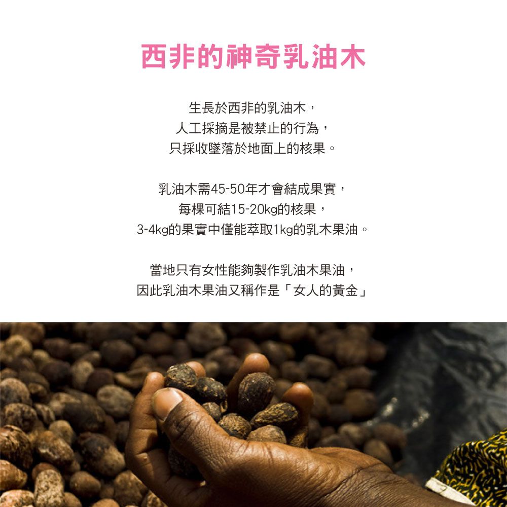 Institut Karite Paris 巴黎乳油木 櫻花保濕美體乳 500ml