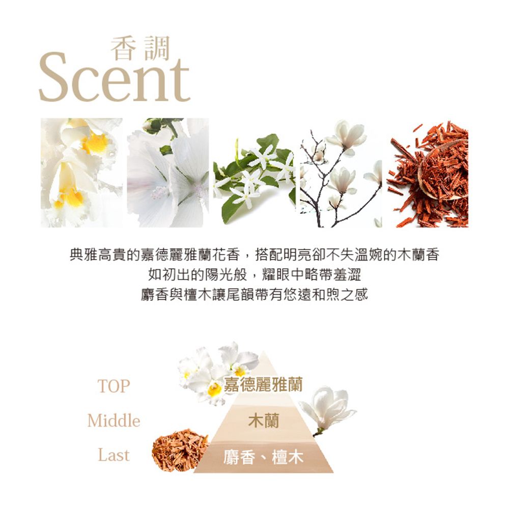 Lawrence 柔綸絲   晨曦閃耀滋養修護乳(400ml)