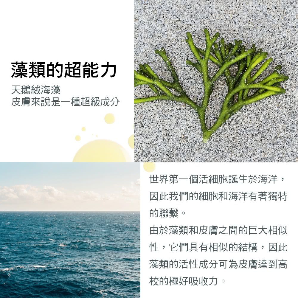 C.D.P 愛在普羅旺斯 97%海藻高效保溼  防塵體霜200ml (極致保濕/補水/修護)