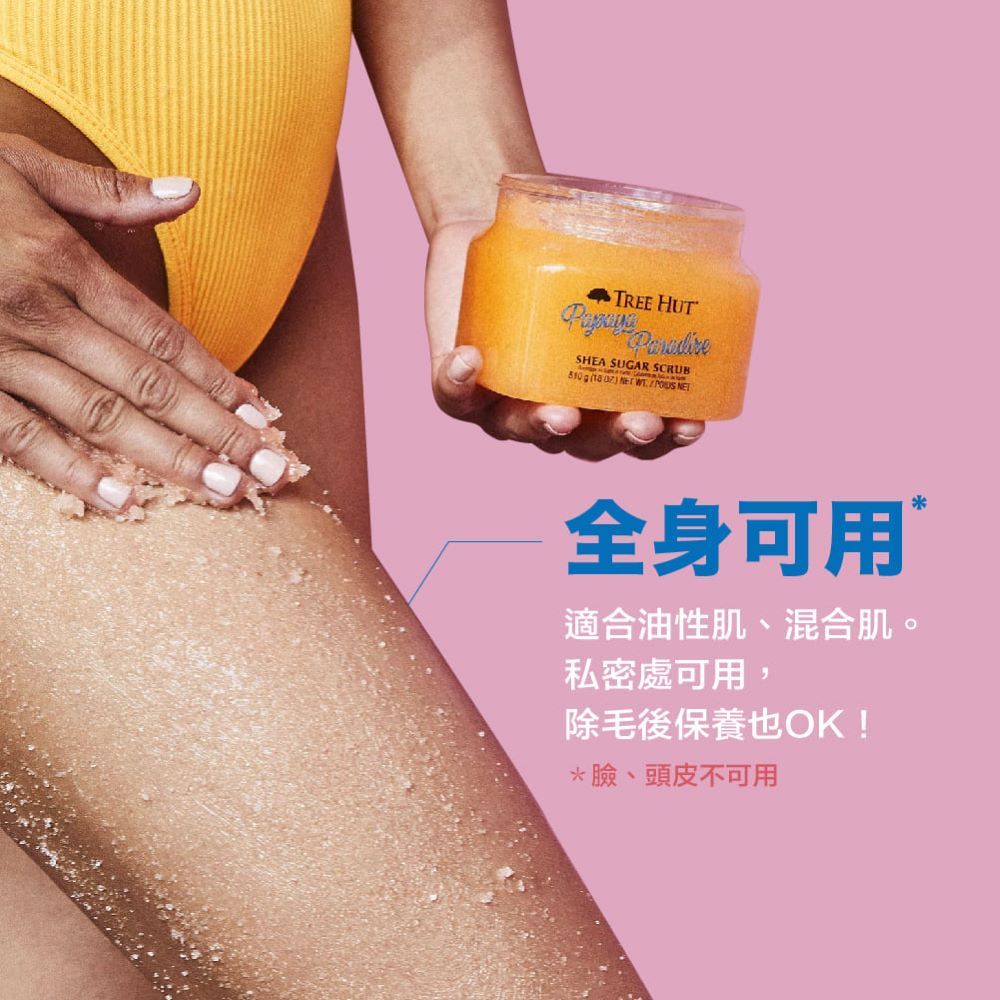 SHEA SUGAR SCRUB     NET全身可用適合油性肌、混合肌。私密處可用,除毛後保養也OK!*臉、頭皮不可用