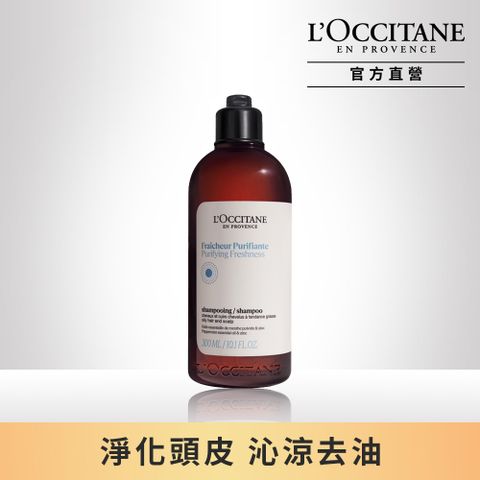 L'OCCITANE 歐舒丹 【LOCCITANE】草本淨涼洗髮乳300ml (控油蓬鬆/油性頭皮適用)