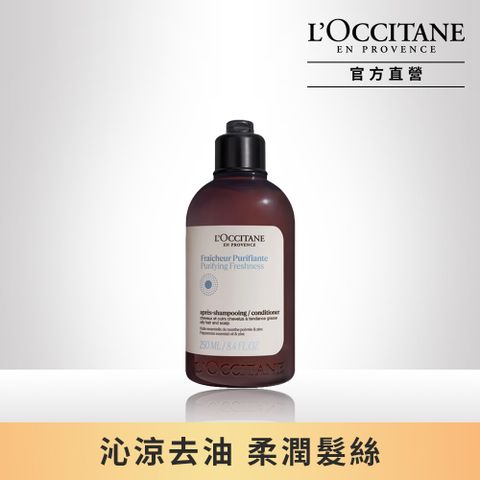 L'OCCITANE 歐舒丹 【LOCCITANE】草本淨涼潤髮乳250ml