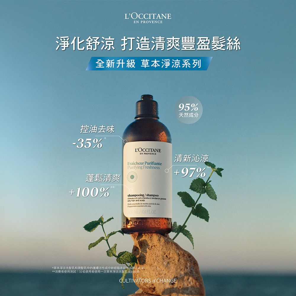 L'OCCITANE 歐舒丹 【LOCCITANE】草本淨涼潤髮乳250ml