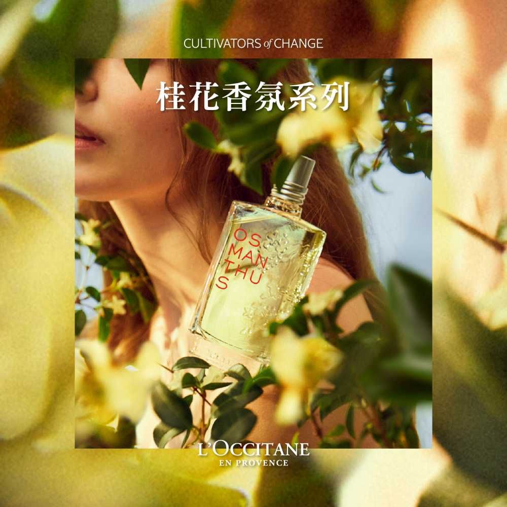 L'OCCITANE 歐舒丹 【LOCCITANE】桂花護手霜30ml