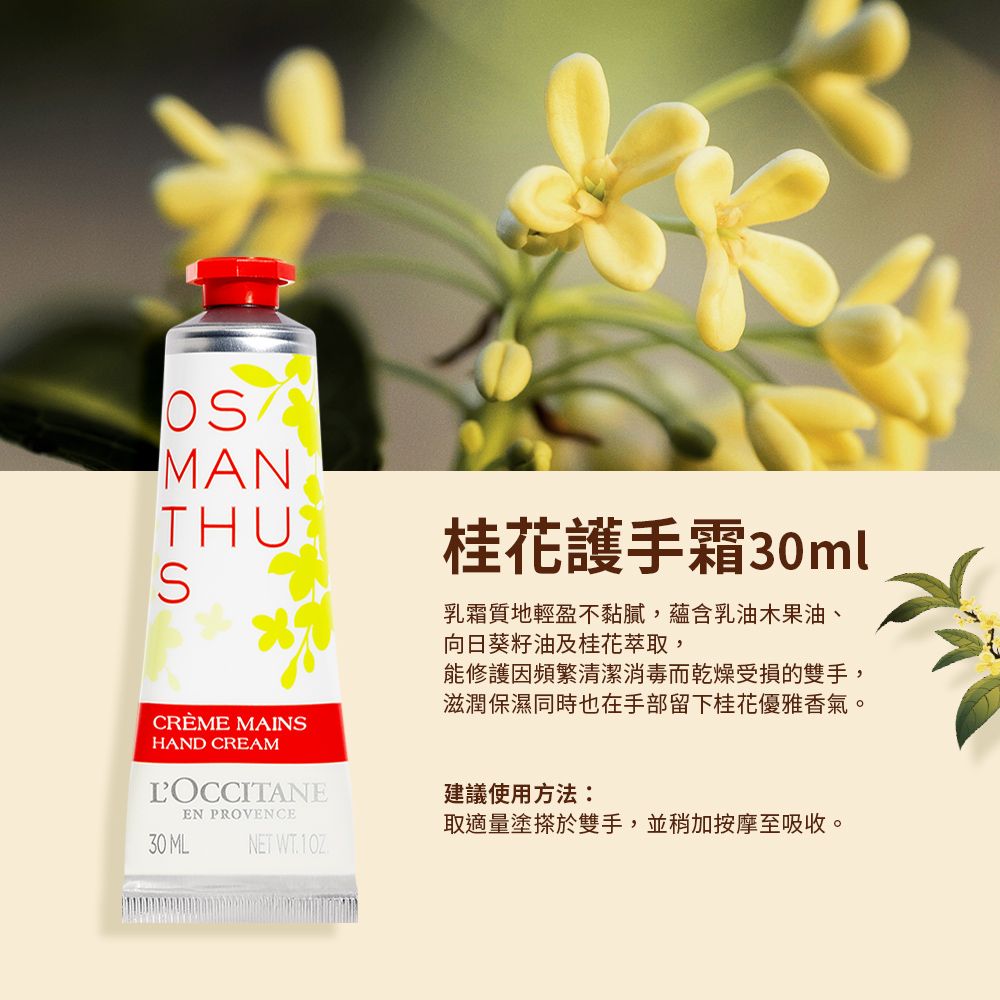 L'OCCITANE 歐舒丹 【LOCCITANE】桂花護手霜30ml