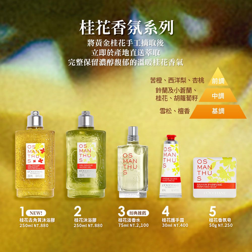 L'OCCITANE 歐舒丹 【LOCCITANE】桂花護手霜30ml