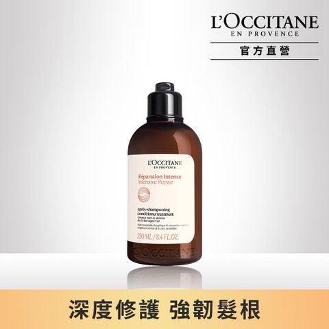 L'OCCITANE 歐舒丹 【LOCCITANE】草本修護潤髮乳250ml