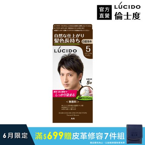 日本LUCIDO倫士度 按壓式染髮霜(自然棕)