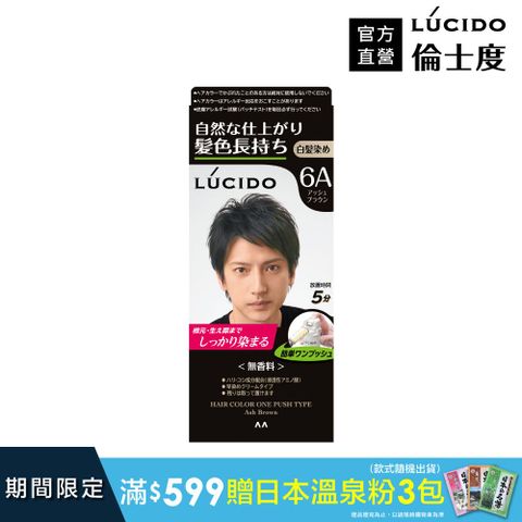 倫士度 日本LUCIDO 按壓式染髮霜(灰褐)