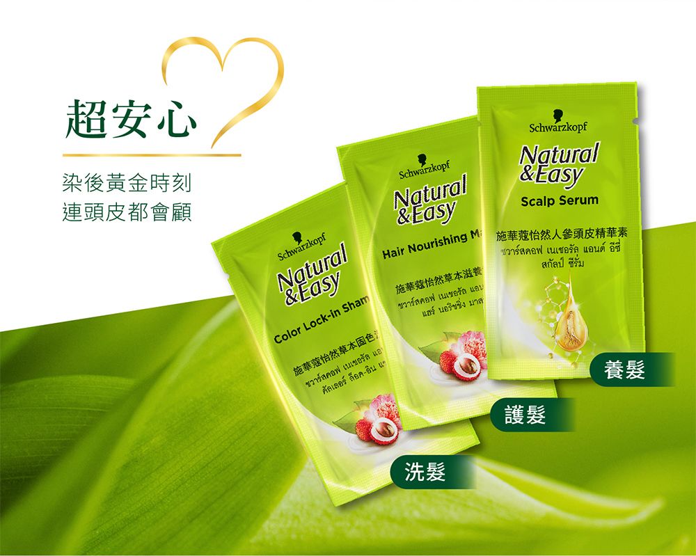 超安心染後黃金時刻連頭皮都會顧SchwarzkopfNatural&EasyScalp Serum施華蔻怡然人參頭皮精華素คอฟ เเชอรัล อด์  รั่มSchwarzkopfSchwarzkopfNatural&EasyNatural&EasyHair Nourishing M施華蔻怡然草本滋養Color Lockin Sham施華蔻怡然草本固色สคอฟ เนเชอรัล แอเลอ ล็อค- แวาร์สคอฟ เนเชอรัล แอน นอริชชิ่ง มาส洗髮護髮養髮