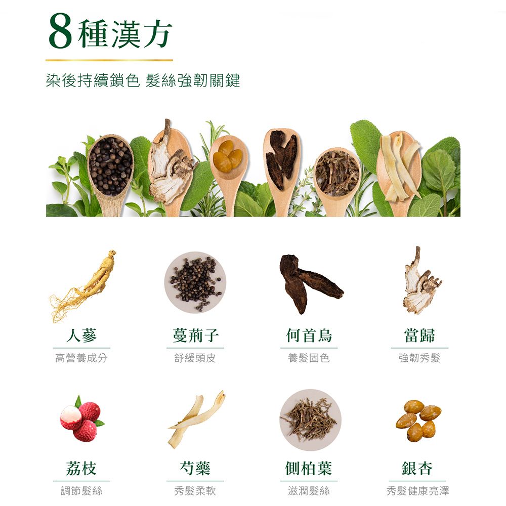 SCHWARZKOPF 施華蔻 怡然植萃染髮霜(多色任選)