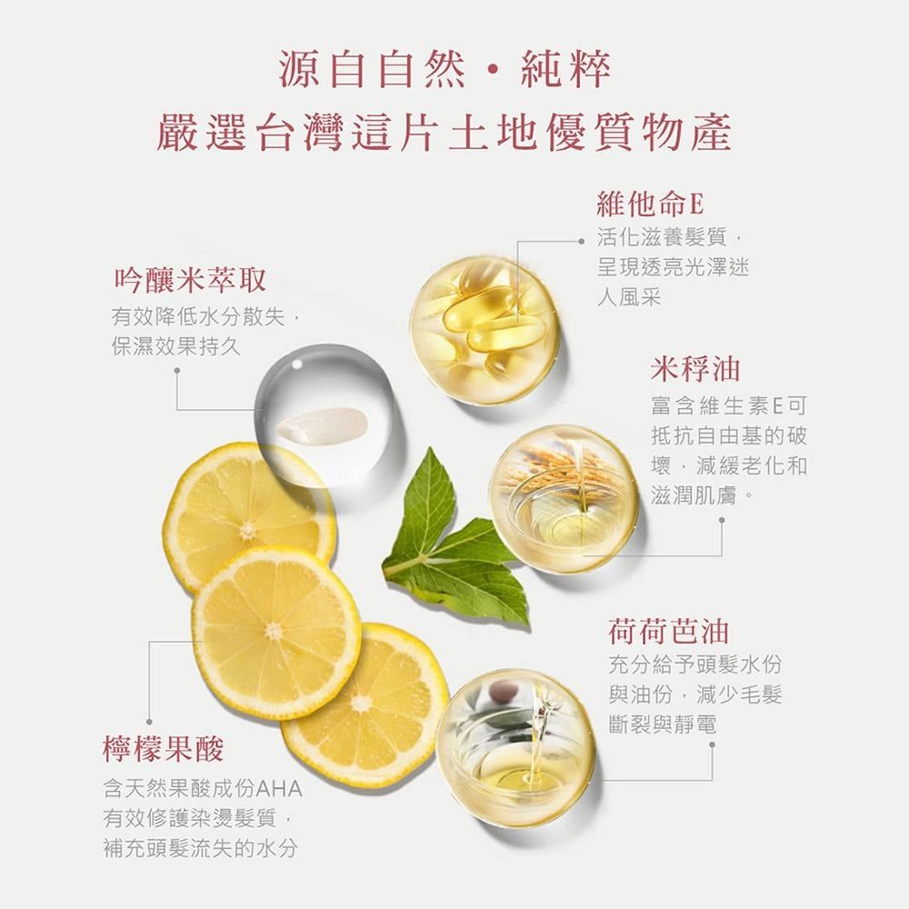 SINTER 聖泉華 SINTER顏璽 晶米吟釀護髮素 200ml
