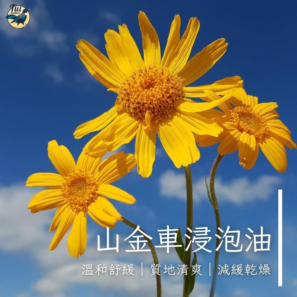  【Tui Balms】熱敷精油膏 100g紙板裝〈舒緩膏〉