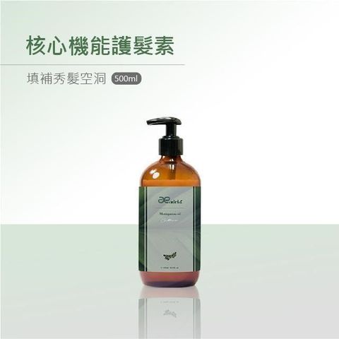 愛德拉 【南紡購物中心】 GS發芽系列-核心機能護髮素500ml