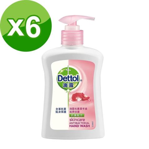 Dettol 滴露 滋潤倍護潔手液250ml*6