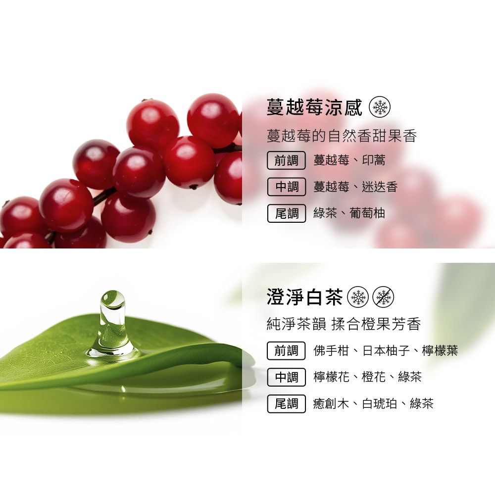 蔓越莓涼感蔓越莓的自然香甜果香前調 蔓越莓、印蒿調 蔓越莓、迷迭香尾調 綠茶、葡萄柚澄淨白茶純淨茶韻 揉合橙果芳香前調 佛手柑、日本柚子、檸檬葉中調 檸檬花、橙花、綠茶尾調 | 癒創木、白琥珀、綠茶