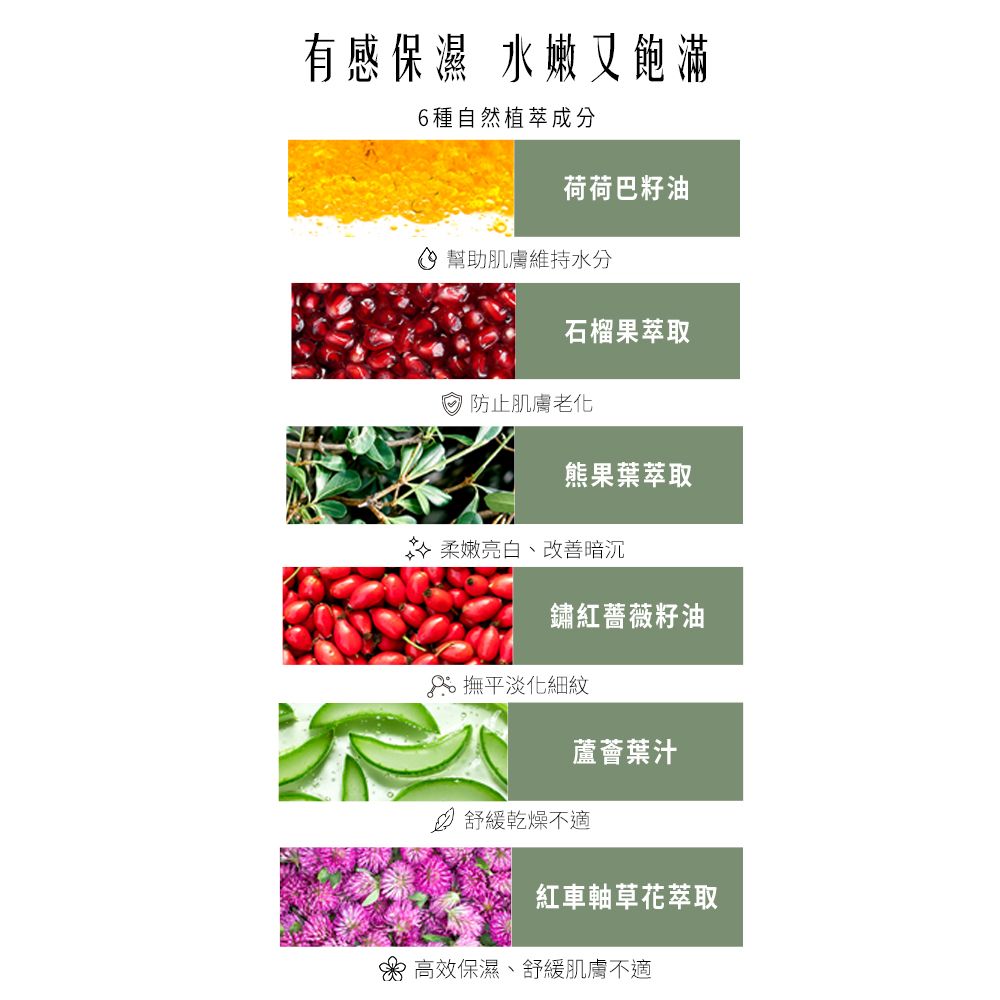有感保濕 水嫩又飽滿6種自然植萃成分荷荷巴籽油幫助肌膚維持水分石榴果萃取防止肌膚老化熊果葉萃取 柔嫩亮白、改善暗沉鏽紅薔薇籽油撫平淡化細紋蘆薈葉汁② 舒緩乾燥不適紅車軸草花萃取高效保濕、舒緩肌膚不適