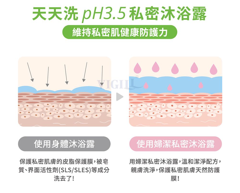 天天洗 pH3.5私密沐浴露維持私密肌健康防護力使用身體沐浴露保護私密肌膚的皮脂保護膜,被皂質、界面活性劑(SLS/SLES)等成分洗去了!使用婦潔私密沐浴露用婦潔私密沐浴露,溫和潔淨配方,親膚洗淨,保護私密肌膚天然防護膜!