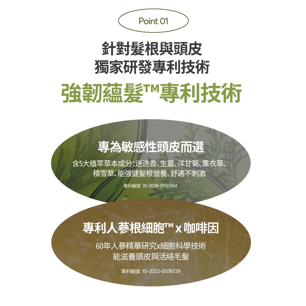 Point 01針對根與頭皮獨家研發專利技術強韌髮專利技術專為敏感性頭皮而選含5大植萃草本成分:迷迭香生薑、洋甘菊、薰衣草、積雪草、能強健髮根營養、舒適不刺激專利編號 10-2018-0150304專利人蔘根細胞咖啡因60年人蔘精華研究x細胞科學技術能滋養頭皮與專利編號 10-2022-0036729