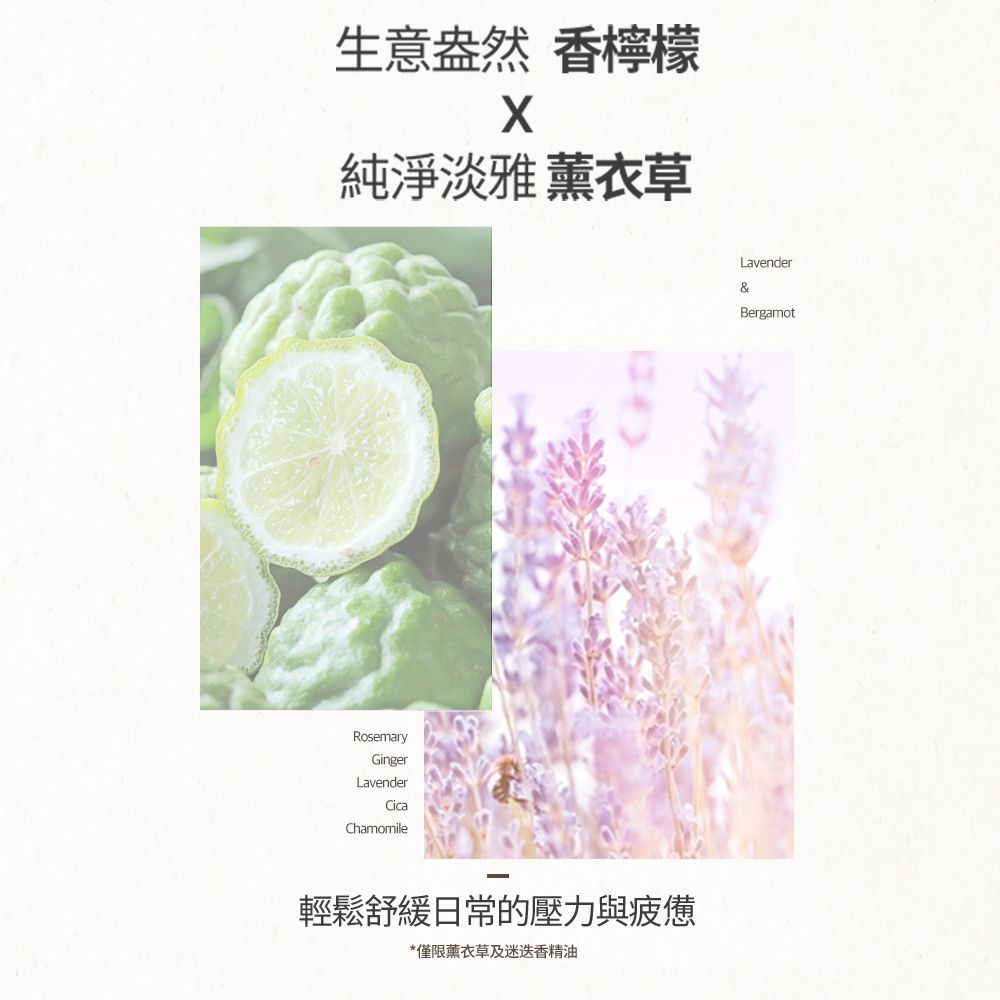 生意盎然 香檸檬純淨淡雅薰衣草RosemaryGingerLavenderCicaChamomile輕鬆舒緩日常的壓力與疲憊*僅限薰衣草及迷迭香精油Lavender&Bergamot
