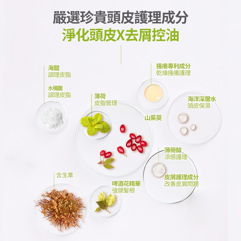 厳選珍貴頭皮護理成分淨化頭皮X去屑控油搔癢專利成分乾燥搔癢護理海鹽調理皮脂水楊酸調理皮脂薄荷皮脂管理山茱萸-薄荷醇涼感護理、海洋深層水頭皮保濕含生草皮屑護理成分啤酒花精華改善皮屑問題強健髮根