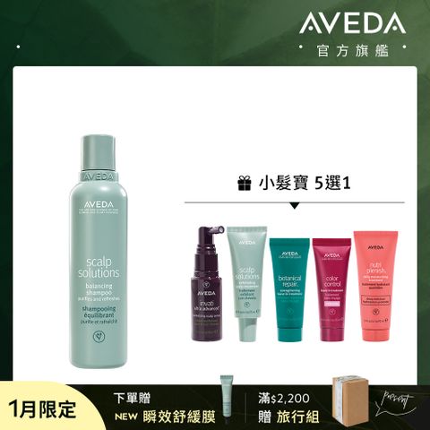 AVEDA 蘊活淨瑕養髮組