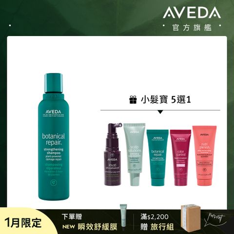 AVEDA 花植結構修護組