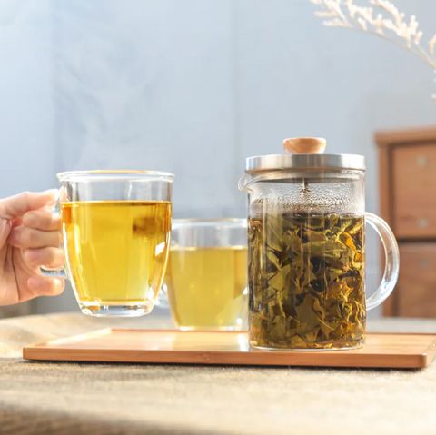 Driver冷熱兩用沖泡茶壺600ml