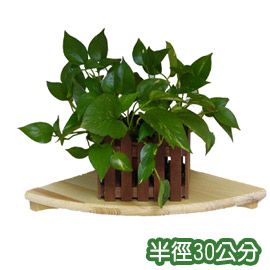 原木氣息 30cm圓形牆角架