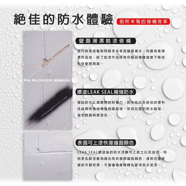 RUSTOLEUM 樂立恩 防水止漏噴劑透明色