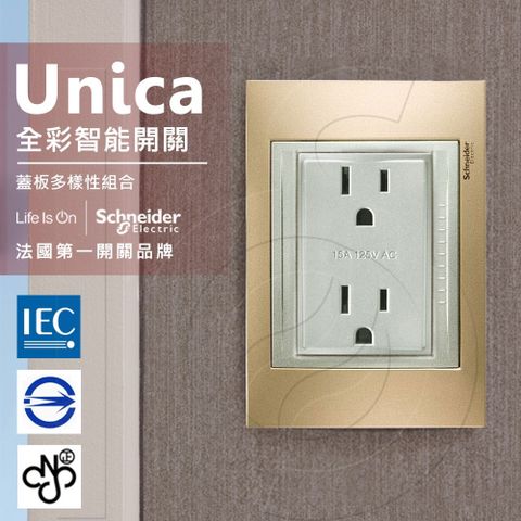 Schneider 施耐德 法國 Unica Top雙插座(附接地極)_(金屬銅外框)