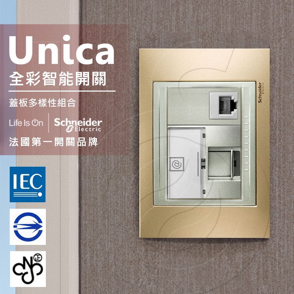 Schneider 施耐德 法國 Unica Top埋入式資訊網路/電話插座_(金屬銅外框)