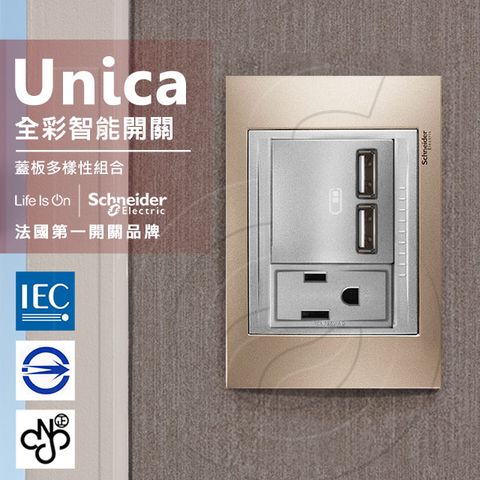 Schneider 施耐德 國外高級飯店裝潢指定專用法國 Unica Top雙USB插座/單插座(附接地極)_金屬銅外框