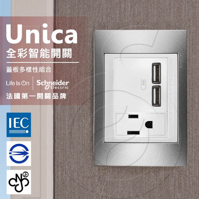 Schneider 施耐德 國外高級飯店裝潢指定專用法國 Unica Plus雙USB/單插座_香檳灰(ABS外框)升級款