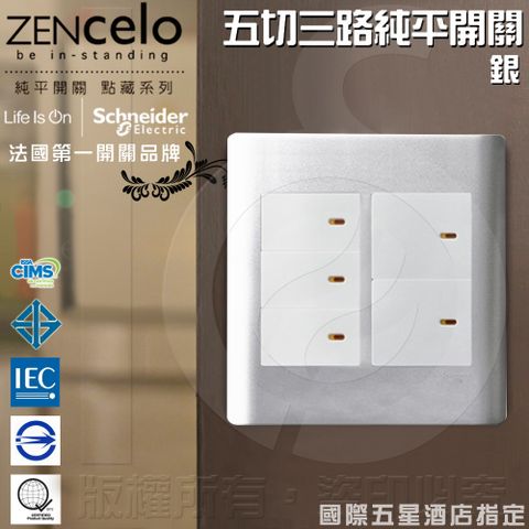 法國Schneider ZENcelo系列 五切三路純平開關_銀