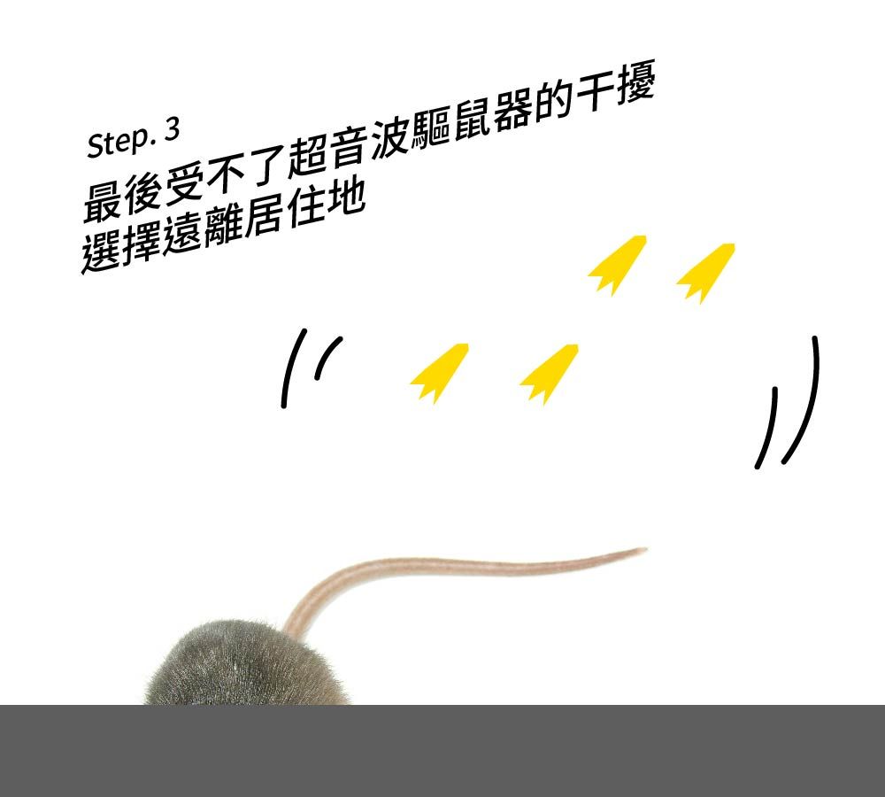 Step.3最後受不了超音波驅鼠器的干擾選擇遠離居住地