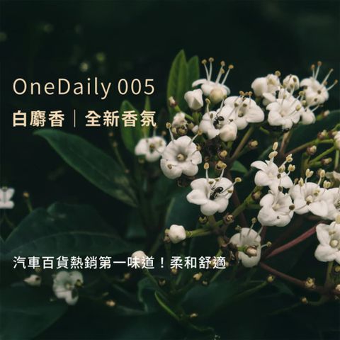 Onedaily 香氛塊（ 兩入組 ）Allite CF1 & CF2 專用－白麝香