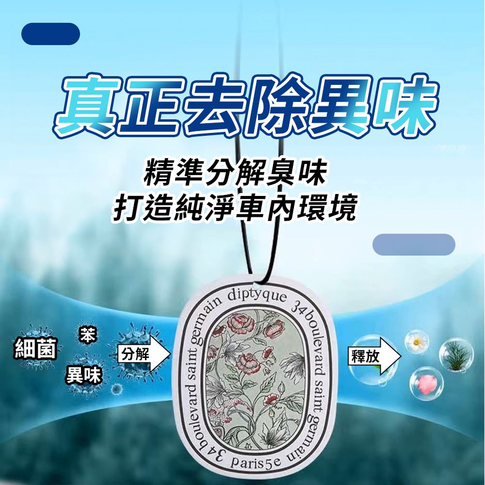 JHS 香片吊卡 歐美香氛片 超值5入組 室內/汽車兩用 車用香氛 衣櫥香氛 衣櫃芳香 車用擴香