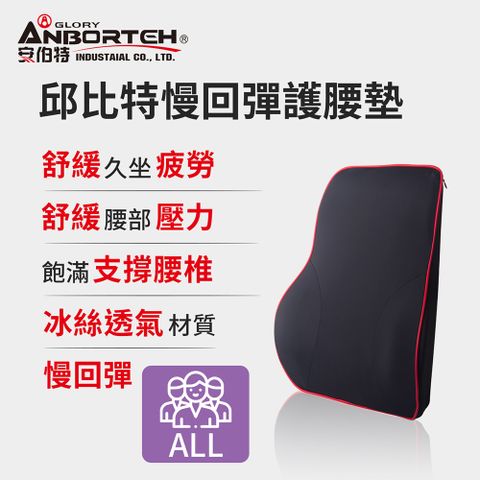 ANBORTEH 安伯特 邱比特慢回彈護腰墊 (車用護腰墊 車用靠墊 車用腰枕 車用靠腰墊 汽車靠墊 車用腰枕 護腰枕 慢回彈記憶棉)