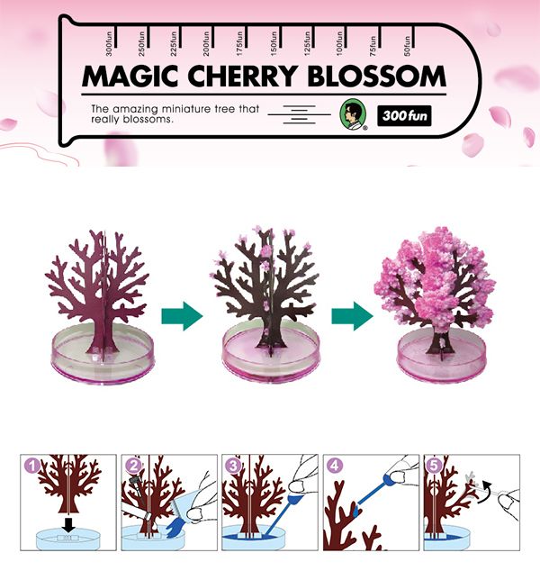 2 225fun175fun150fun MAGIC CHERRY BLOSSOMThe amazing miniature tree that really blossoms.300 fun |125fun |100fun75fun50fun