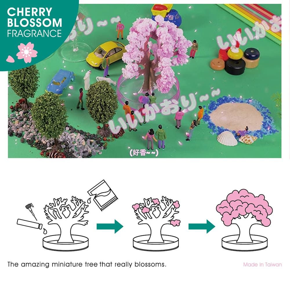 賽先生科學工廠 神奇櫻花(15cm)-獨家櫻花香