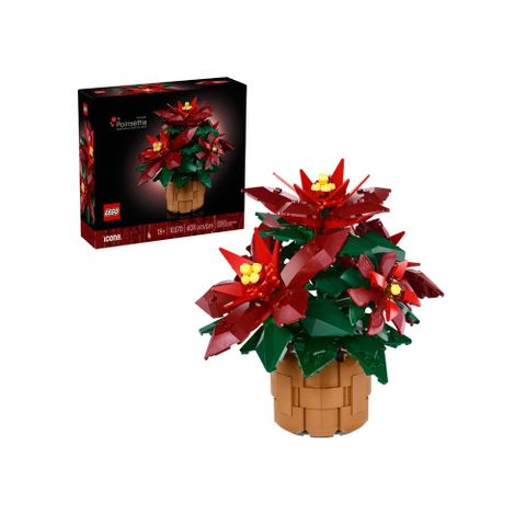 LEGO 樂高 10370 聖誕紅 Poinsettia