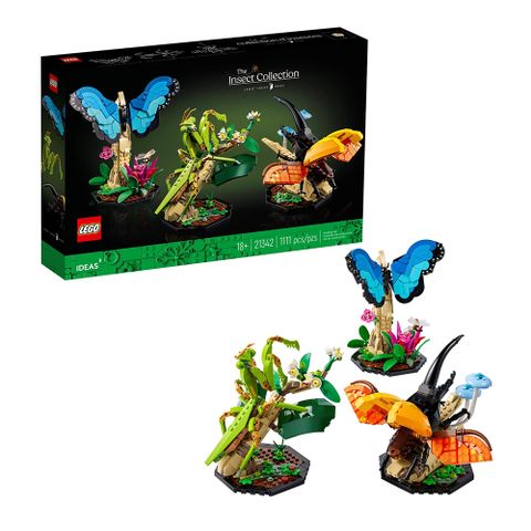 樂高 LEGO 積木 IDEAS 昆蟲集錦 The Insect Collection21342