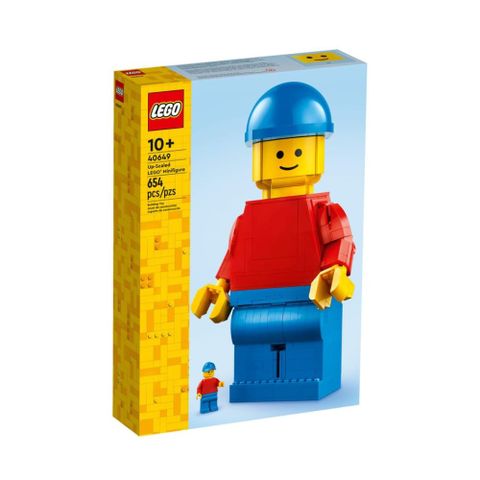 LEGO 樂高 40649 放大版 人偶