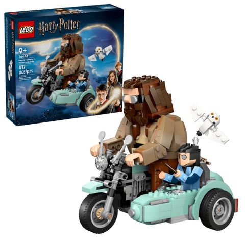 LEGO 樂高 76443 海格和哈利的摩托車之旅